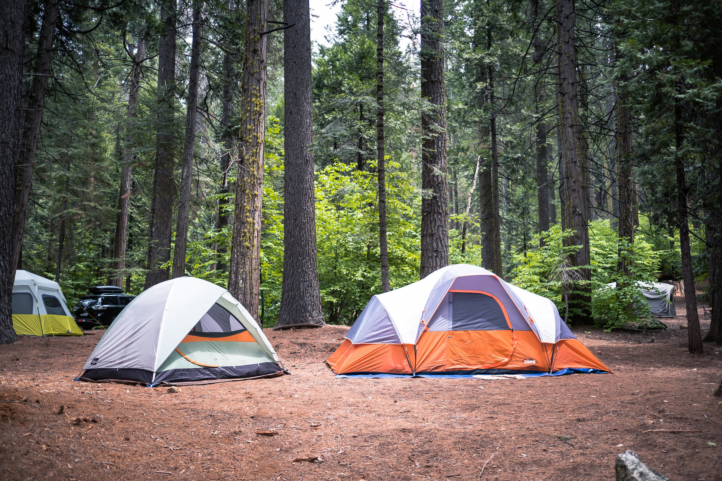Camping at Calaveras Big Trees State Park.